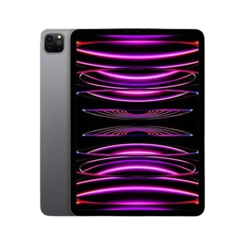 iPad Repair